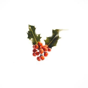 Christmas tree decoration against a white background.