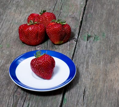 strawberry on a saucer and behind three strawberries, a berry subject, spring