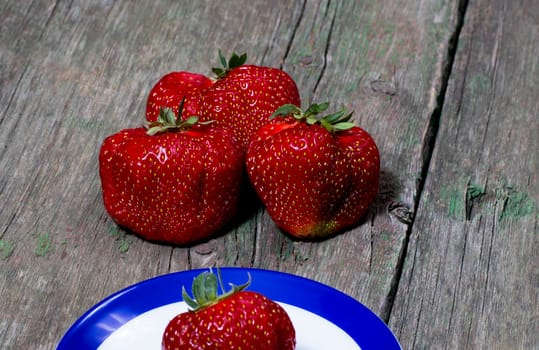 three beautiful big strawberries in group, a berry subject