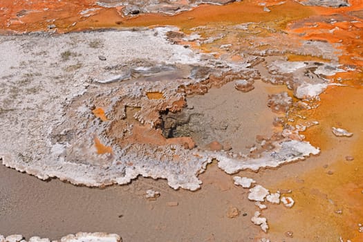 Colorful Thermal Pool in the Wilderness of the Shoshone Basin in Yellowstone National Park in Wyoming