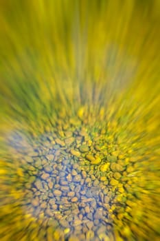 Stones under water covered with algae - with zoom effect - artist supplies