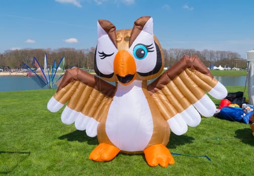 inflatable owl shape on a kite festival