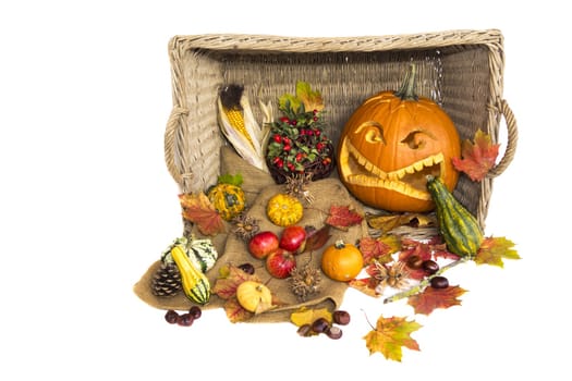 Fruits and fruits such as apples,nuts or corn fall from a basket with a carved Helloween pumpkin. Wonderful autumn decoration at harvest time.