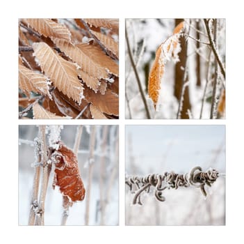 Winter Quartet