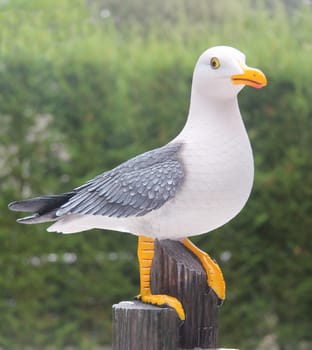 Model of a seagull,against a green background.