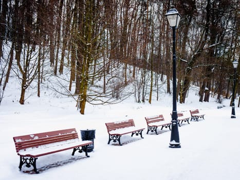 Winter in the park.  Benches in the winter city park