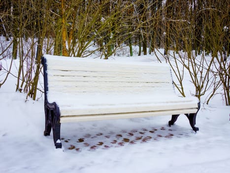 Winter in the park.  Benches in the winter city park
