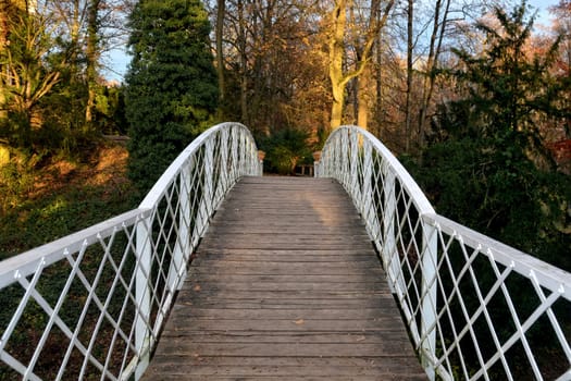 Arched wooden bridge with white metal terrain and autumnal trees in the background