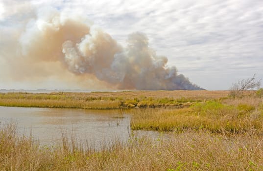 Wildfire in the Bayou in the Sabine National Wildlife Refuge in Louisiana