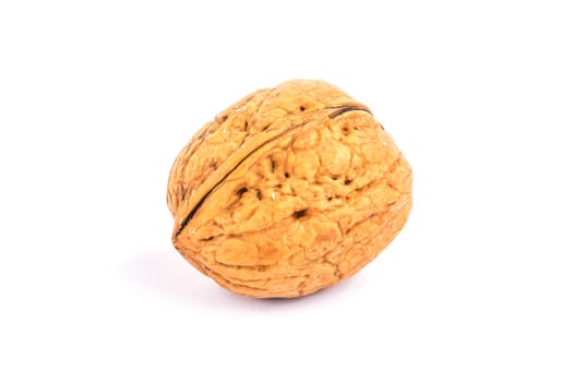 Walnut,close-up of the nut on a white background