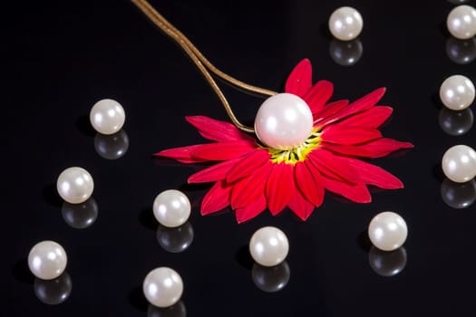 White pearls necklace on black background. Focus on the big pearl over red petals!