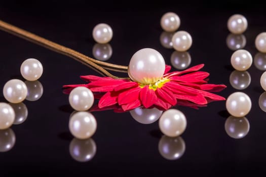 White pearls necklace on black background. Focus on the big pearl over red petals!