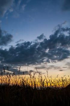 sunset or (sunset beach) or (sunset nature) or (sunset skyline)