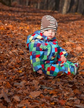 10 months old baby boy sitting on autumn leaves in the forest