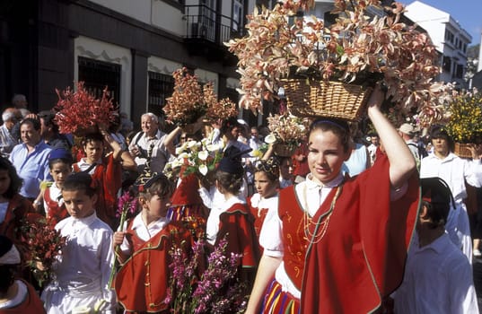 The Traditional Flower Festival in the capital Funchal on the island of Madeira in the Atlantic Ocean,Portugal.