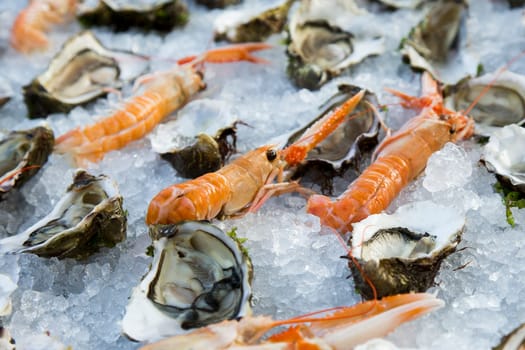 Close up view of a composition of shrimp and oysters on ice