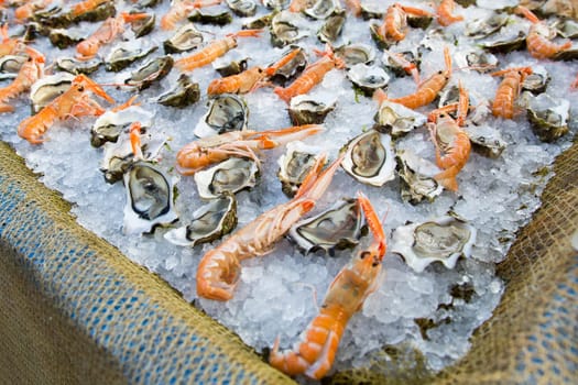Close up view of a composition of shrimp and oysters on ice