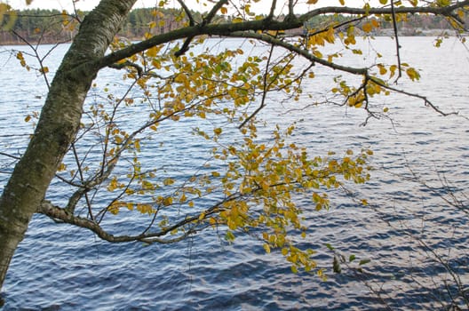 one three hanging over the lake a beutiful autumn day
