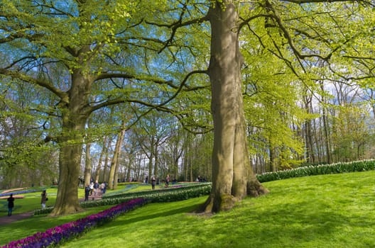 LISSE, NETHERLANDS - APRIL 17, 2016: Unknown tourists visiting the famous keukenhof tulip gardens in the netherlands