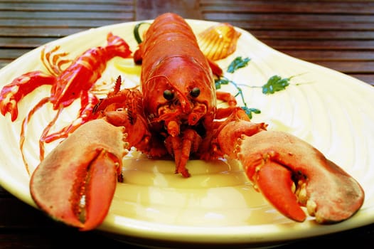 Plate with lobster