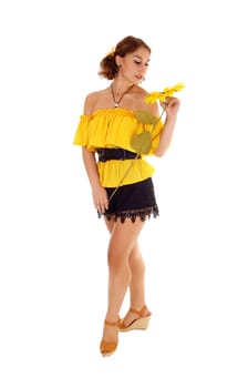 Gorgeous young woman in a yellow blouse and black shorts holding .one sunflower, standing isolated for white background..