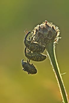 Just hang out...