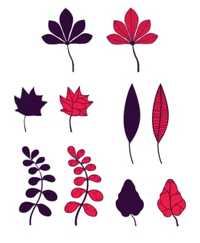 set of autumn leaves isolated on white background