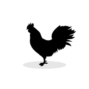 Cock black silhouette pattern bird background. Vector illustration.