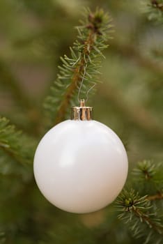 closeup of a matte white christmas ball in a tree