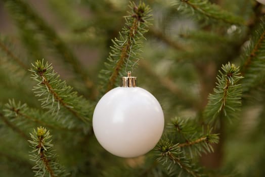 closeup of a matte white christmas ball in a tree