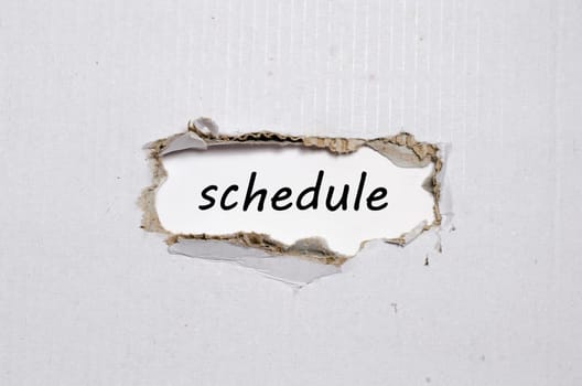 The word schedule appearing behind torn paper