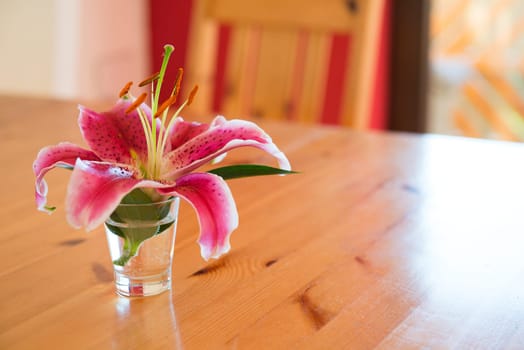 pink lily in little vase on wooden table