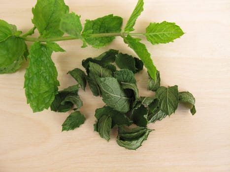 Fresh and dried peppermint leaves