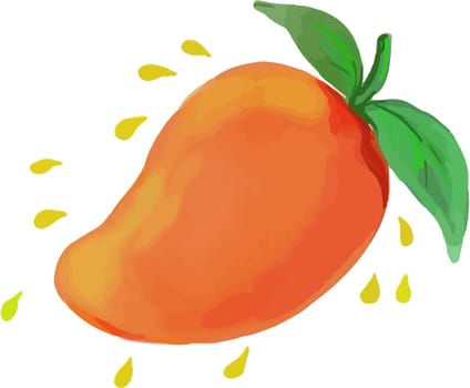 Watercolor style illustration of  a mango, a juicy tropical stone fruit drupe belonging to the genus Mangifera set on isolated white background.