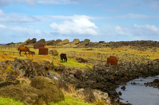 Horses picking their way through the stones on Easter Island, Chile