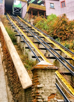 Yellow and orange  tracks climb past faded brick and flowers in Valparaiso, Chile