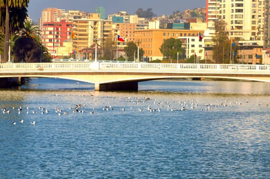 Modern buildings provide a colorful backdrop for a low bridge in Vina del Mar, Chile