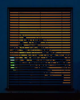 window