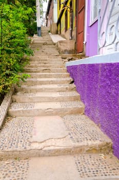 Bright purple encourages one to scale the hillside in Valparaiso, Chile
