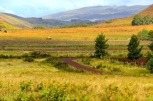 Beautiful landscape on Easter Island, Chile