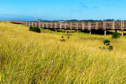 View of the grasslands from the wooden walkway near Long Beach, Washington