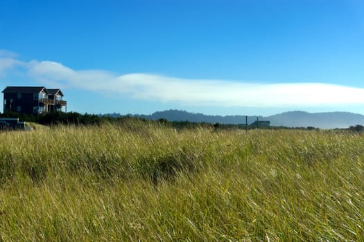 The windswept grasses at Long Beach, Washington lean away from the Pacific Ocean