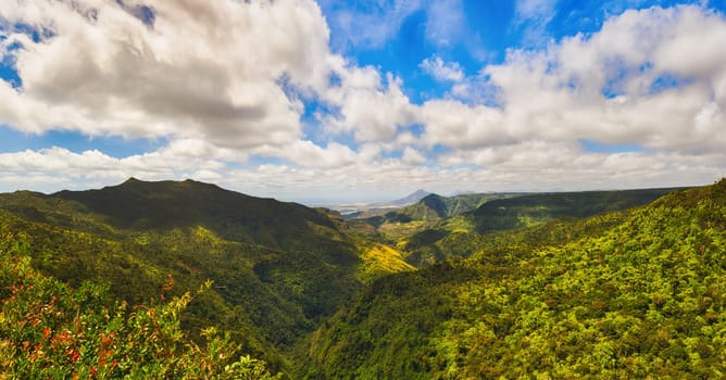 View from the Gorges viewpoint. Black River Gorges national park. Mauritius. Panorama