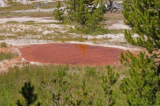 Red Pool in the Wilds of the Shoshone Basin in Yellowstone National Park in Wyoming