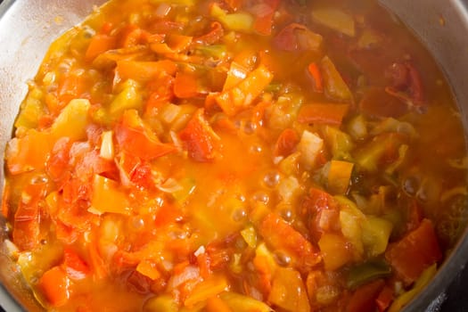 Cooking stew with fresh vegetables in a pot. Mixing it with mixing spoon