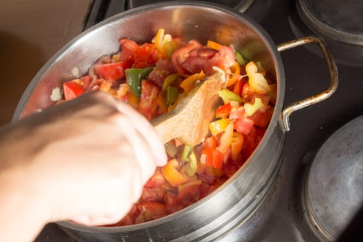 Cooking stew with fresh vegetables in a pot. Mixing it with mixing spoon