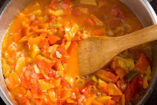 Cooking stew with fresh vegetables in a pot. Mixing it with mixing spoon