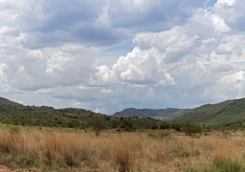 Landscape in the Pilanesberg Game Reserve, North West Province, South Africa