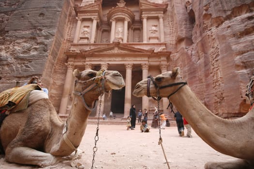 The Al Khazneh Treasury in the Temple city of Petra in Jordan in the middle east.