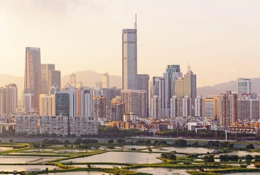 hong kong countryside sunset, rice field and modern office buildings